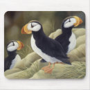 Suche nach papageientaucher mousepads Auk