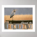 Suche nach chesapeake poster Blauhelme