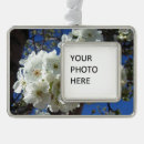 Suche nach blüte ornamente Jede person