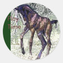 Suche nach colt aufkleber Stute