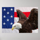 Suche nach amerikanischer adler poster Wild
