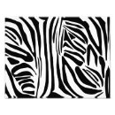 Suche nach zebra foto poster Zebradruck