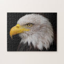 Suche nach adler puzzle Stärke