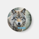 Suche nach heulen magnete Generativitätsinhalt