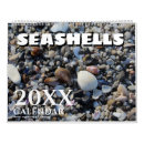Suche nach muscheln kalender Strand