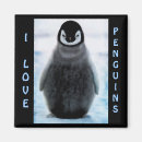 Suche nach fine art magnete Pinguine