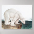 Suche nach vintage bear poster Eisbär
