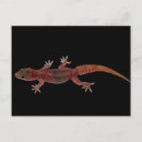 Suche nach reptilien postkarten Eidechsen