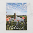 Suche nach rosa dahlien postkarten Natur