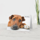 Suche nach traurige augen karten Hund