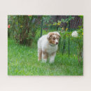 Suche nach australian shepherd puzzle Dog