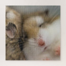 Suche nach käfig puzzle Fotografie