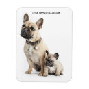 Suche nach french bulldog magnete Welpe