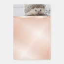 Suche nach igel post it Natur