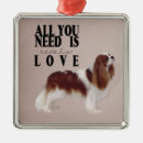 Suche nach kavalier Jede person