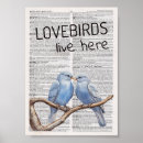 Suche nach lovebird poster Liebling