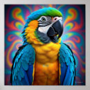 Suche nach blauer papagei poster Bunt