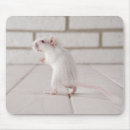 Suche nach nagetier mousepads Weiß