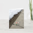 Suche nach federn karten Blume