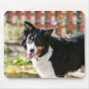 Suche nach mund offen mousepads Hund