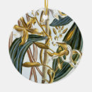 Suche nach platte ornamente Pflanzen