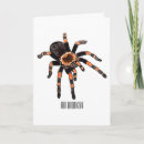 Suche nach tarantula karten Tarantel