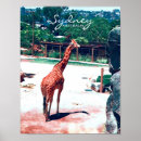 Suche nach kleine giraffe poster Zoo