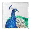 Suche nach peacock fliesen Aquarell