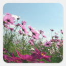 Suche nach kosmos aufkleber Blume