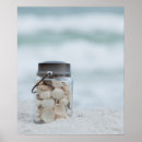 Suche nach florida strand poster Segelboot