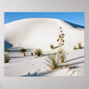Suche nach yucca poster Becken