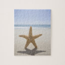 Suche nach cape cod puzzle Usa