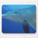 Suche nach flosse mousepads Schwimmen