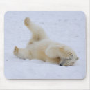 Suche nach ursus maritimus mousepads Nanook