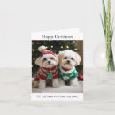 Suche nach maltese dog Weihnachtskarte