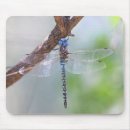 Suche nach insekten mousepads Für alle