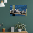 Suche nach pelikan poster Tierwelt