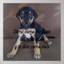 Suche nach los poster Tiere