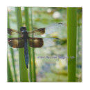 Suche nach libelle fliesen Natur