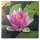 Suche nach rosa lilie fliesen Für alle