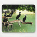 Suche nach fünf mousepads Natur