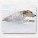 Suche nach agility mousepads Bewegung