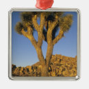 Suche nach der granit ornamente Usa