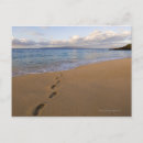 Suche nach maui postkarten Meer