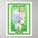 Suche nach jackass Donkey