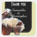 Suche nach ponys aufkleber Reiten