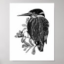 Suche nach australischer vogel poster Kookaburra