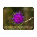 Suche nach distel magnete Blume