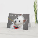 Suche nach westhochlandterrier karten Hund