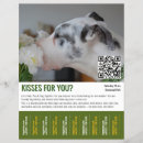 Suche nach hunde flyer Für haustiere